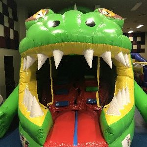 Giant Inflatable Lizard Obstacle Course