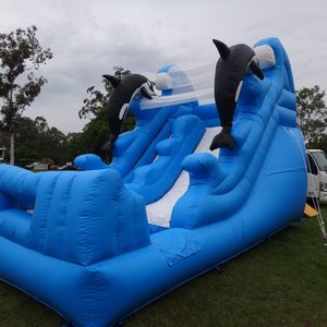 Dolphin Water Slide
